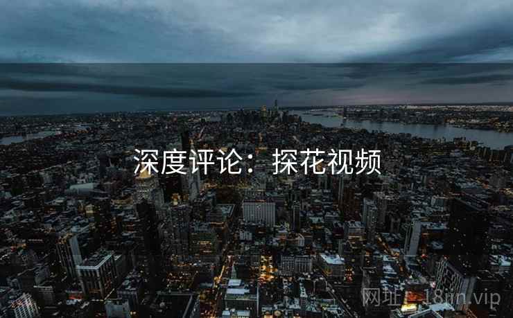 深度评论：探花视频