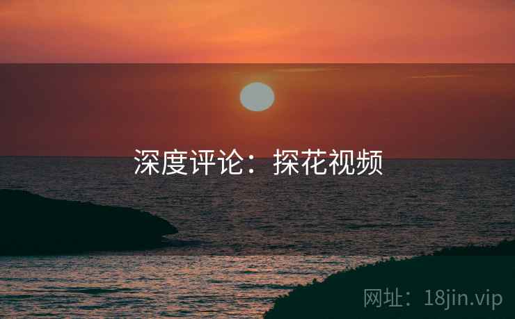 深度评论：探花视频