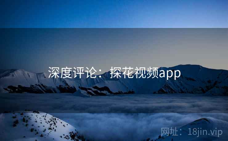 深度评论：探花视频app