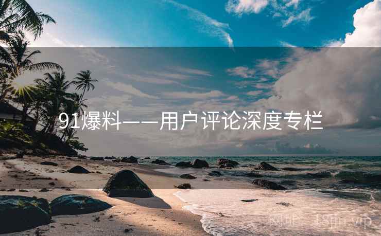 91爆料——用户评论深度专栏