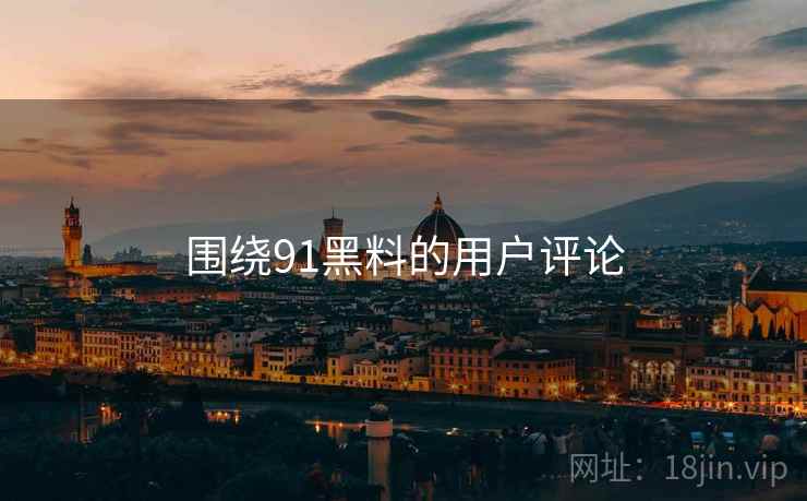 围绕91黑料的用户评论