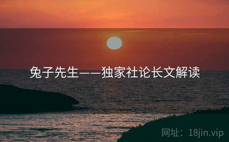兔子先生——独家社论长文解读