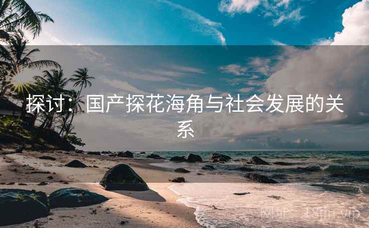 探讨：国产探花海角与社会发展的关系