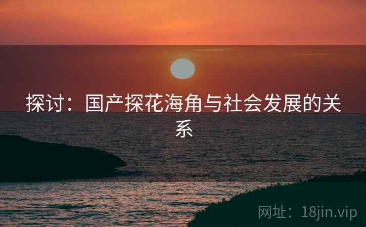 探讨：国产探花海角与社会发展的关系