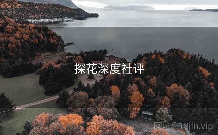 探花深度社评