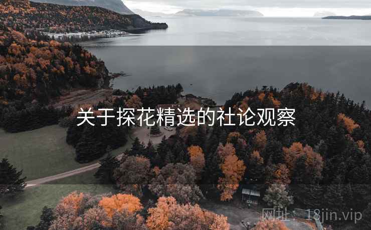 关于探花精选的社论观察