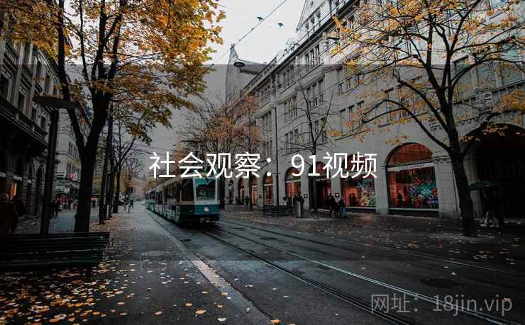社会观察：91视频