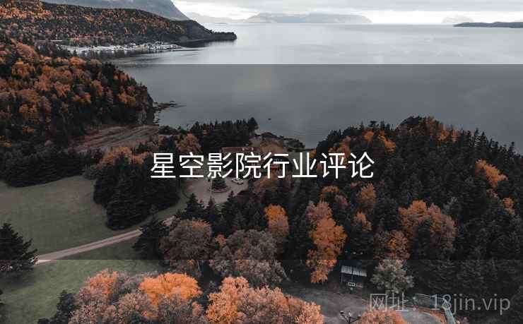 星空影院行业评论