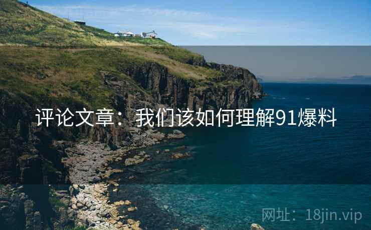 评论文章：我们该如何理解91爆料