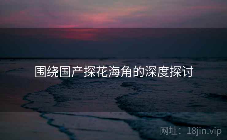 围绕国产探花海角的深度探讨