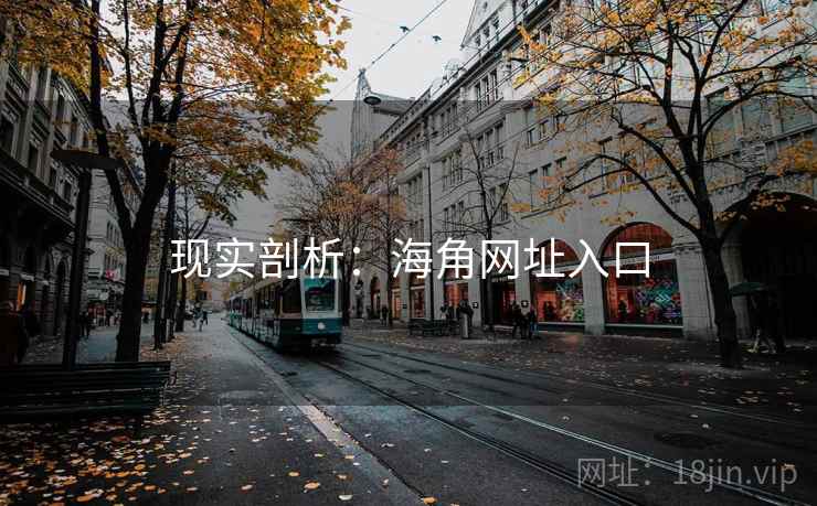 现实剖析：海角网址入口