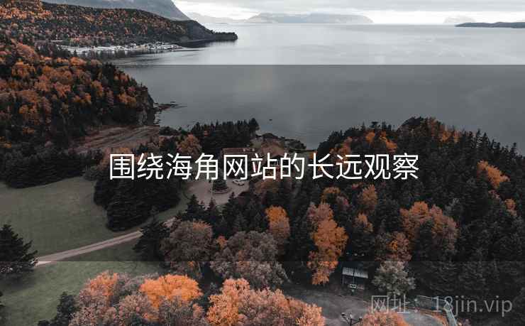 围绕海角网站的长远观察