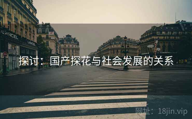 探讨：国产探花与社会发展的关系