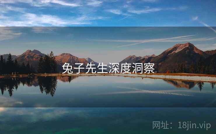 兔子先生深度洞察 兔子先生深度洞察