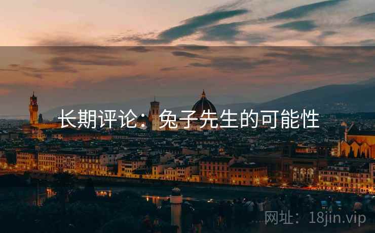 长期评论:兔子先生的可能性 长期评论:兔子先生的可能性