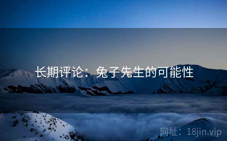 长期评论:兔子先生的可能性 长期评论:兔子先生的可能性