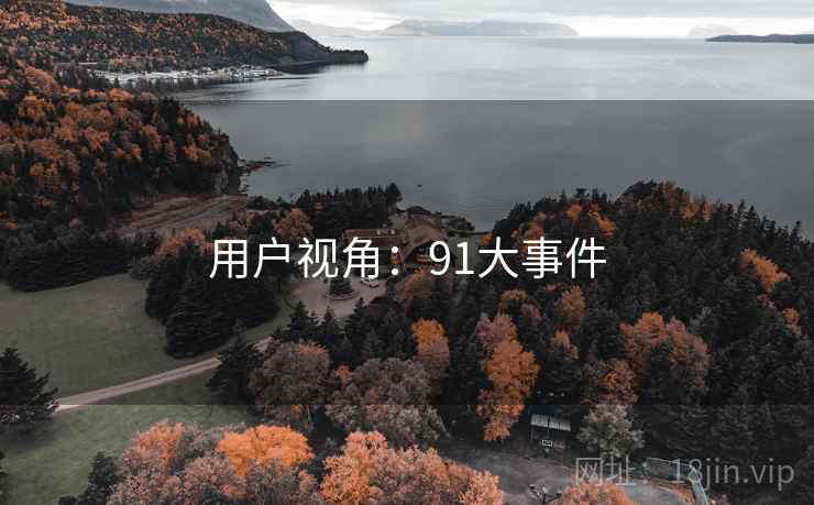 用户视角:91大事件 用户视角:91大事件