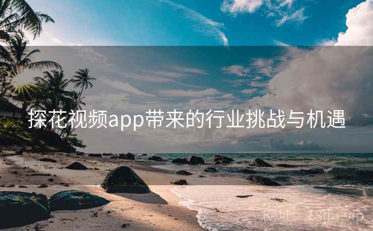 探花视频app带来的行业挑战与机遇 探花视频app带来的行业挑战与机遇