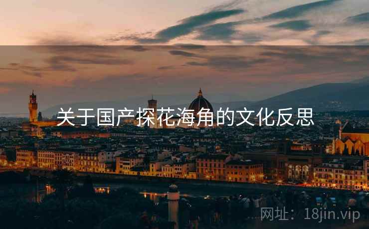 关于国产探花海角的文化反思 关于国产探花海角的文化反思