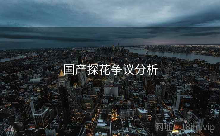 国产探花争议分析 国产探花争议分析