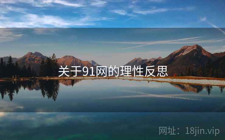 关于91网的理性反思 关于91网的理性反思