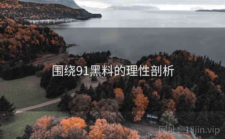 围绕91黑料的理性剖析 围绕91黑料的理性剖析