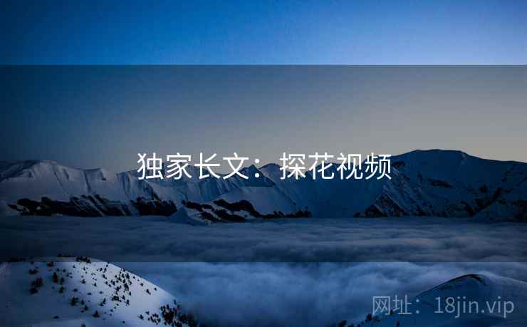 独家长文：探花视频